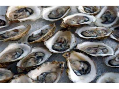 frutti-di-mare-skarby-morz-2